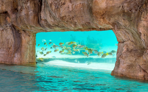 Grand Hyatt Baha Mar Grand Hyatt Baha Mar